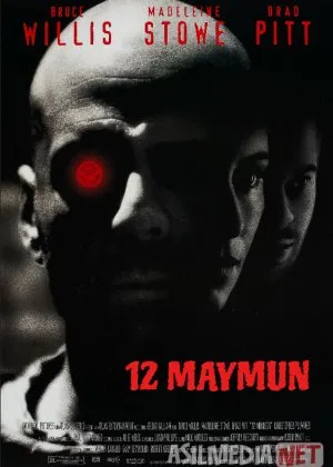 12 Maymun / O'n ikki maymuncha