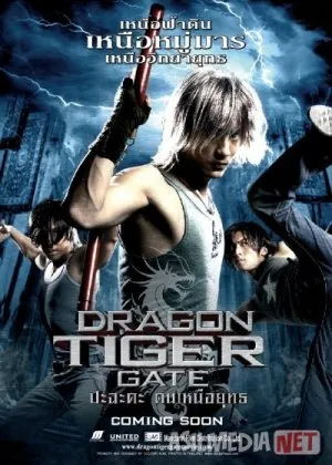 Ajdarho va yo'lbars darvozasifilm