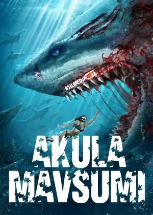 Akula mavsumi / fasli / Akulalar yili