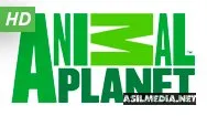 Animal Planet
