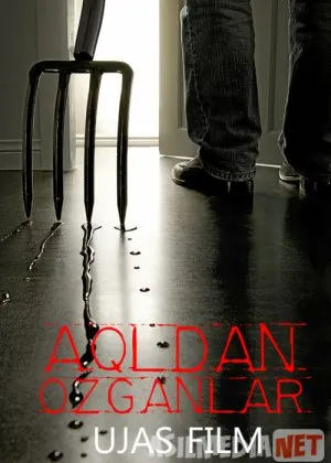 Aqldan Ozganlar / Jinnilar