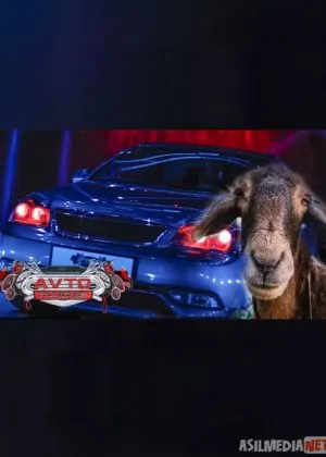 Avto tuning Zo'rtv / Auto Tuyning Zortv  / Hamma sonlar 1,2,3,4,5,6,7-sonlar