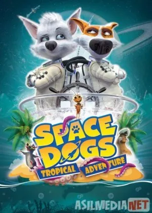 Belka va Strelka: Karib dengizi sirlari