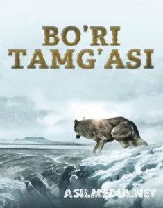Bo'ri tamg'asi
