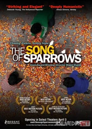 Chumchuqlar qo'shig'i Eron filmi