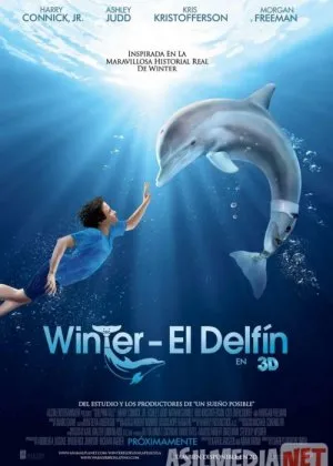 Delfin qissasi