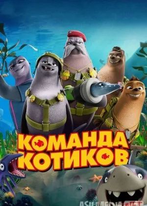 Dengiz mushuklari / Mushuklar jamoasi