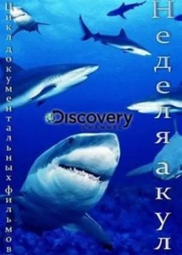 Discovery: Неделя акулг.