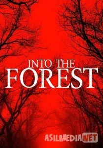 Donbass. Atrof / Донбасс. Окраина  -  download