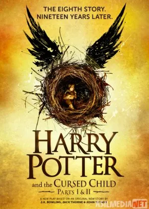 GARRI POTTER 8: LA‘NATLANGAN BOLA