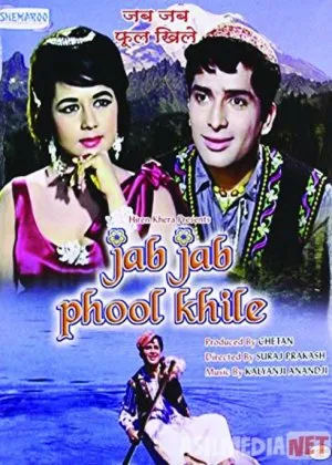 Gullar Ifori / Gul ochilganda