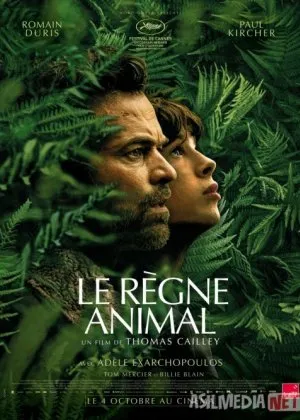 Hayvonlar Saltanati / Xayvonlar qirolligi