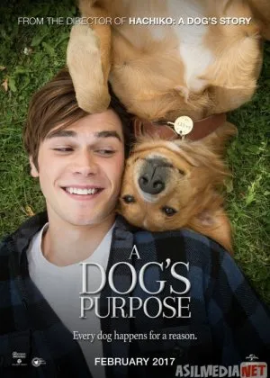 Itning Hayoti 1 / Itning maqsadi 1