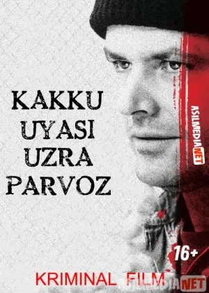 Kakku uyasi uzra parvoz