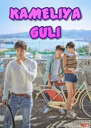 Kameliya Guli Koreya