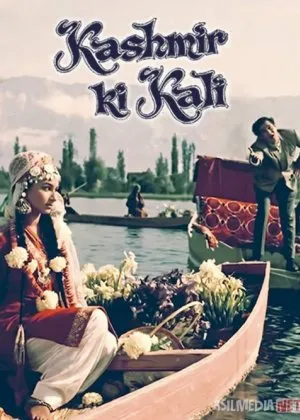 Kashmir Go'zali