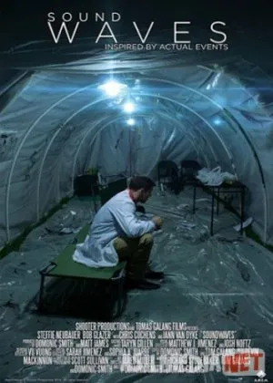 Kirish / Tovush to'lqinlari (Zararlanish / Yuqtirish)