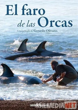 Kitlar / Ketlar Mayog'i