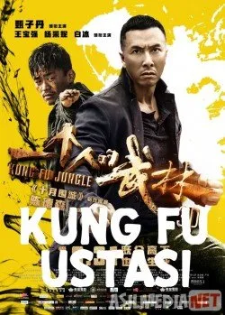 Kung- fu ustasi / Последний из лучших /   download