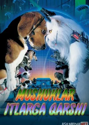 Mushuklar itlarga qarshi 1,2