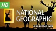 National Geographic