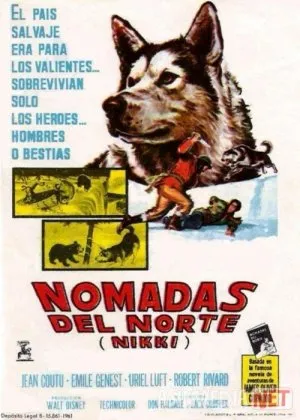 Nikki shimolning zotdor itifilm