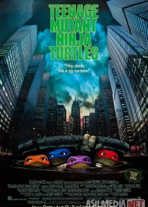 Ninzya toshbaqalar 1