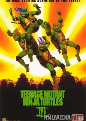 Ninzya toshbaqalar 3