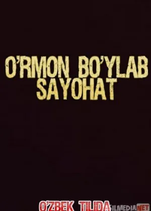 O'rmon bo'ylab sayohat