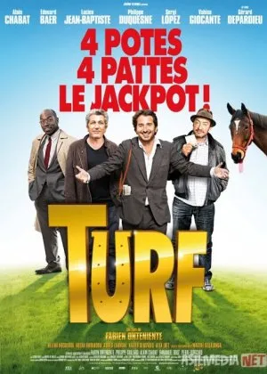 Ot poygasi Fransiya filmi