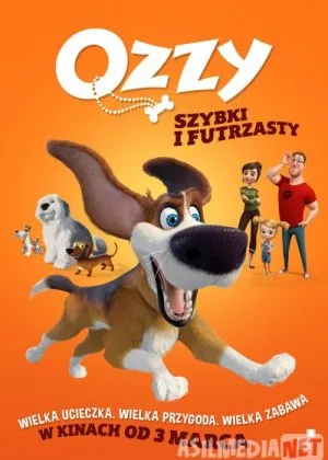 Ozzi / Ozzy / Ozziy / Ozzy