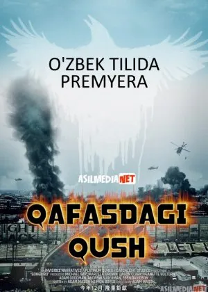 Qafasdagi qush: Infeksiya
