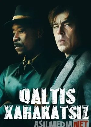 Qaltis Harakatlarsiz / Xarakatsiz / Tavakkallarsizyil