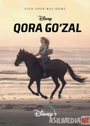 Qora Tulpor / Qora Go'zal / Joziba