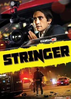 Stringer / Strenjer