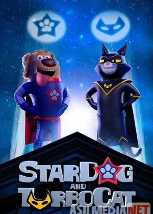 Super IT va Turbo mushuk