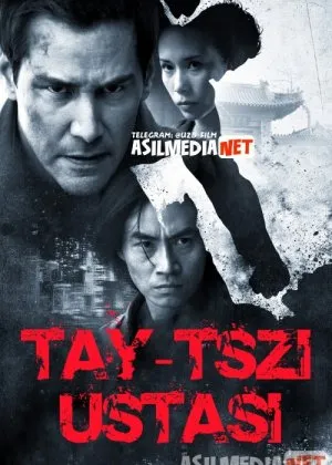 Tay-tszi / Taychi / Tay-chi ustasi