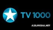 TV1000