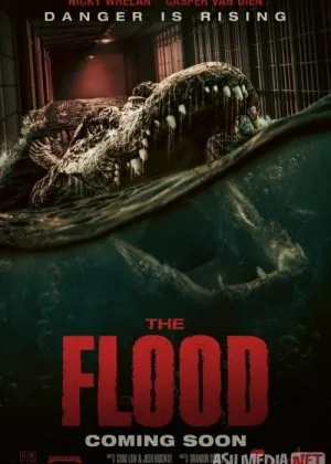 Vaxshiy timsohlar / Toshqin