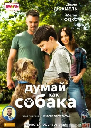 Yangi Do'st / It kabi fikrlang