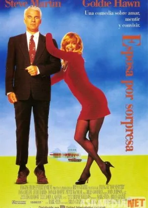 Yolg'onchi uy bekasi