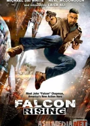 Восхождение Сокола / Falcon Rising