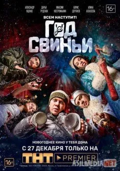 Год свиньи
