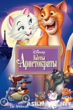 Коты-аристократы