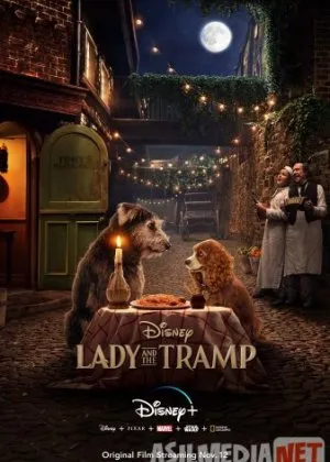 Леди и Бродяга