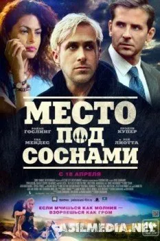 Место под соснами