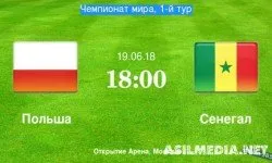 Польша - Сенегал