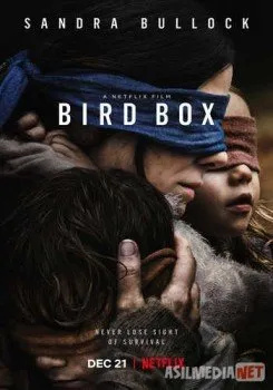 Птичий короб / Bird Box