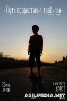 Путь прорастания травинки