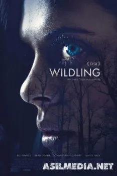 Сага о чудовище